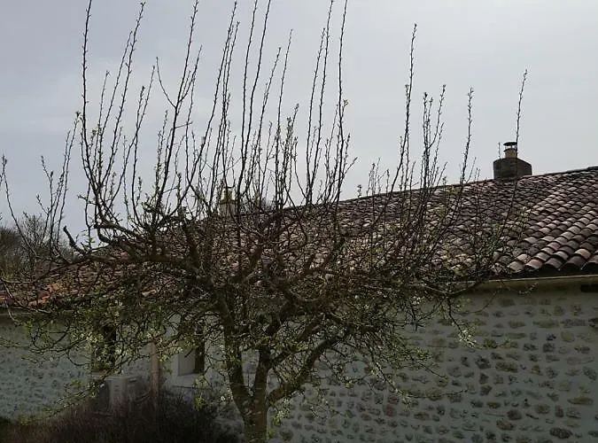 L'hegoa Holiday home Montpellier-de-Medillan