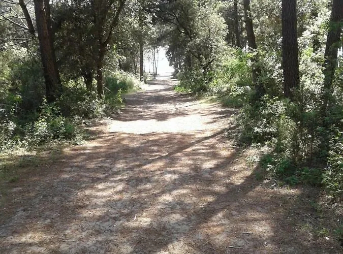 L'hegoa * Montpellier-de-Medillan